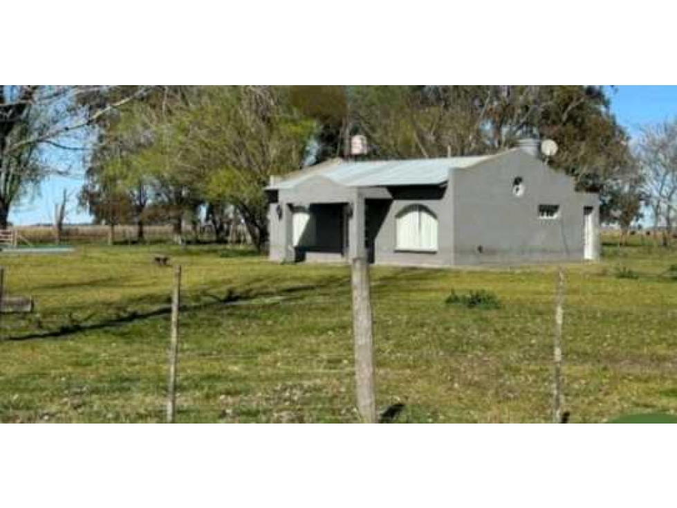 CAMPO 617 HECTAREAS MIXTAS, RAUCH, BUENOS AIRES, ARGENTINA - 4