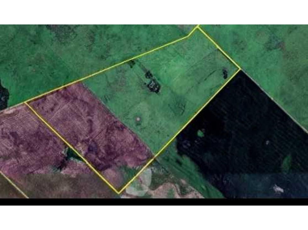 CAMPO 63 HECTAREAS, AGRICOLA, AZUL, BUENOS AIRES, ARGENTINA - 2