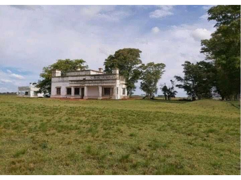 CAMPO 642 HECTAREAS, MIXTO, BOLIVAR, BUENOS AIRES, ARGENTINA - 5