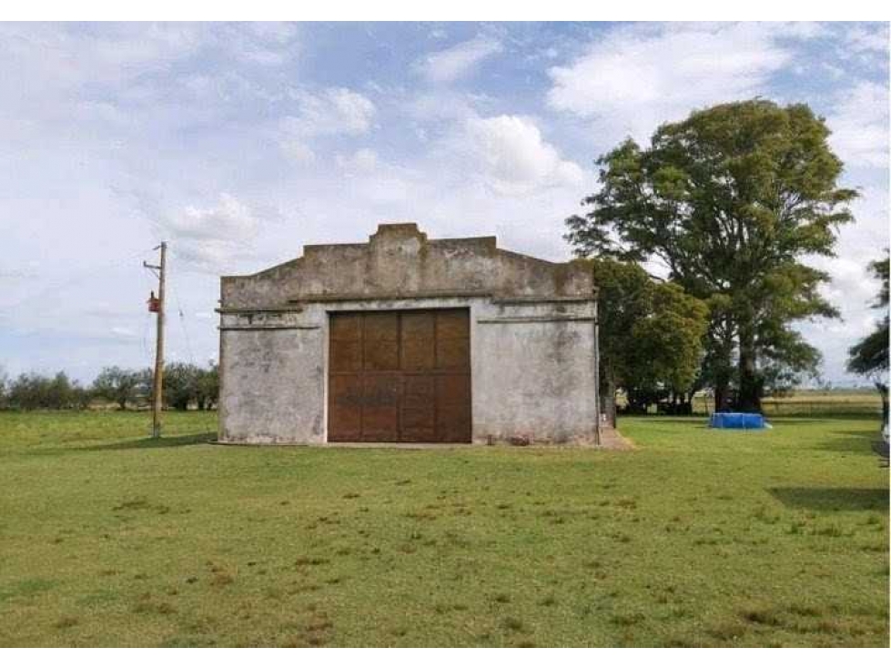 CAMPO 642 HECTAREAS, MIXTO, BOLIVAR, BUENOS AIRES, ARGENTINA - 6
