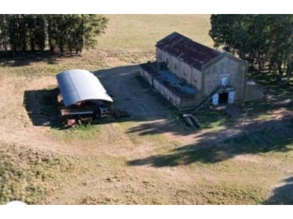 CAMPO 6570 HECTAREAS, MIXTO, CORONEL SUAREZ, BUENOS AIRES, ARGENTINA - 2