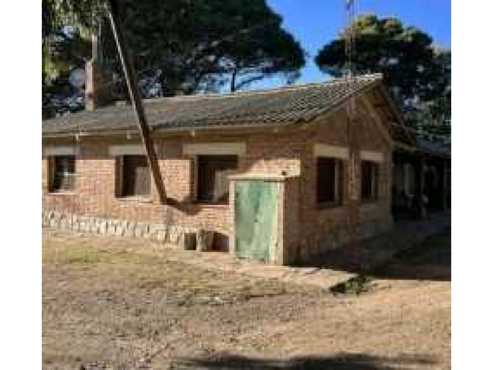 CAMPO 6570 HECTAREAS, MIXTO, CORONEL SUAREZ, BUENOS AIRES, ARGENTINA - 5