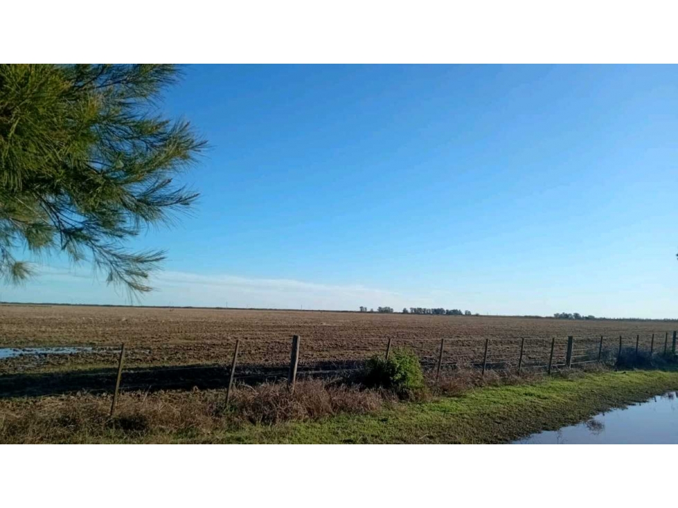 CAMPO 670 HECTAREAS, MIXTO, BALCARCE, BUENOS AIRES, ARGENTINA - 1