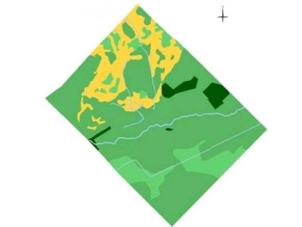 CAMPO 670 HECTAREAS, MIXTO, BALCARCE, BUENOS AIRES, ARGENTINA - 2