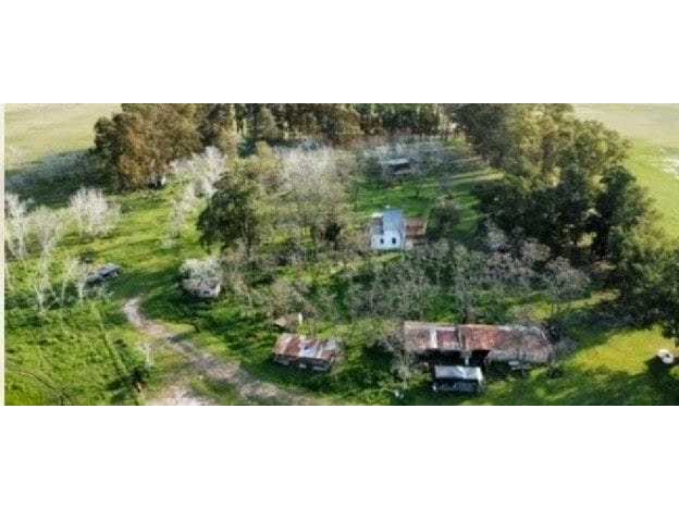 CAMPO 675 HECTAREAS, MIXTO, LAS FLORES, BUENOS AIRES, ARGENTINA - 5