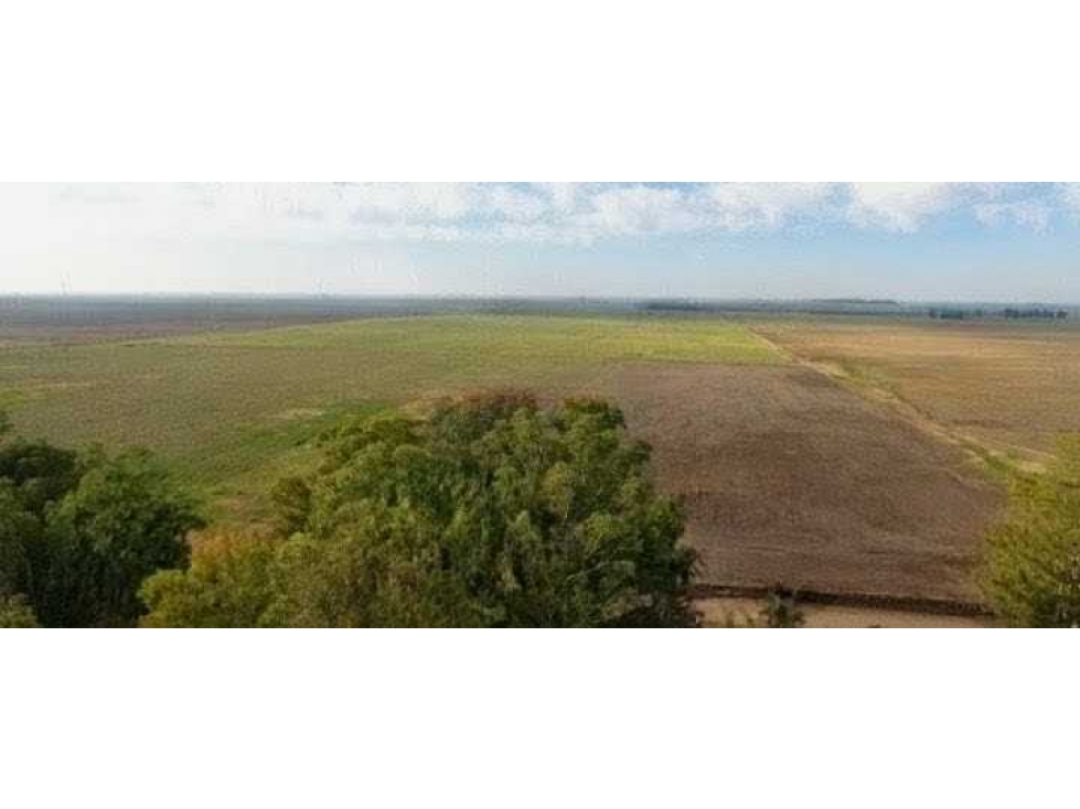 CAMPO 6902 HECTAREAS, MIXTO, LINCOLN, BUENOS AIRES, ARGENTINA - 2