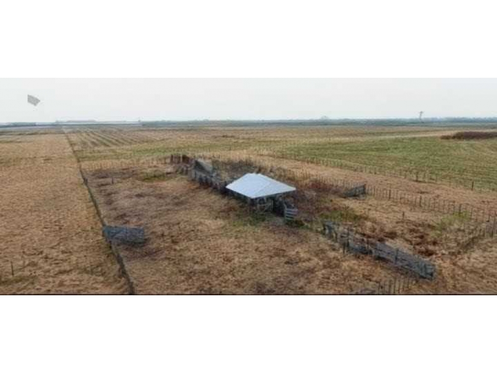 CAMPO 6902 HECTAREAS, MIXTO, LINCOLN, BUENOS AIRES, ARGENTINA - 3