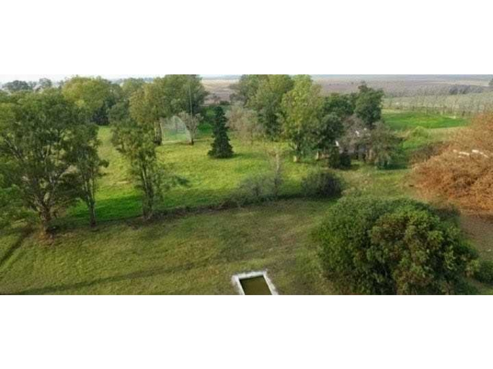 CAMPO 6902 HECTAREAS, MIXTO, LINCOLN, BUENOS AIRES, ARGENTINA - 4