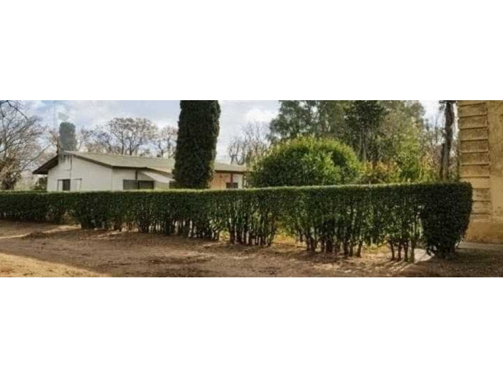 CAMPO 6902 HECTAREAS, MIXTO, LINCOLN, BUENOS AIRES, ARGENTINA - 5