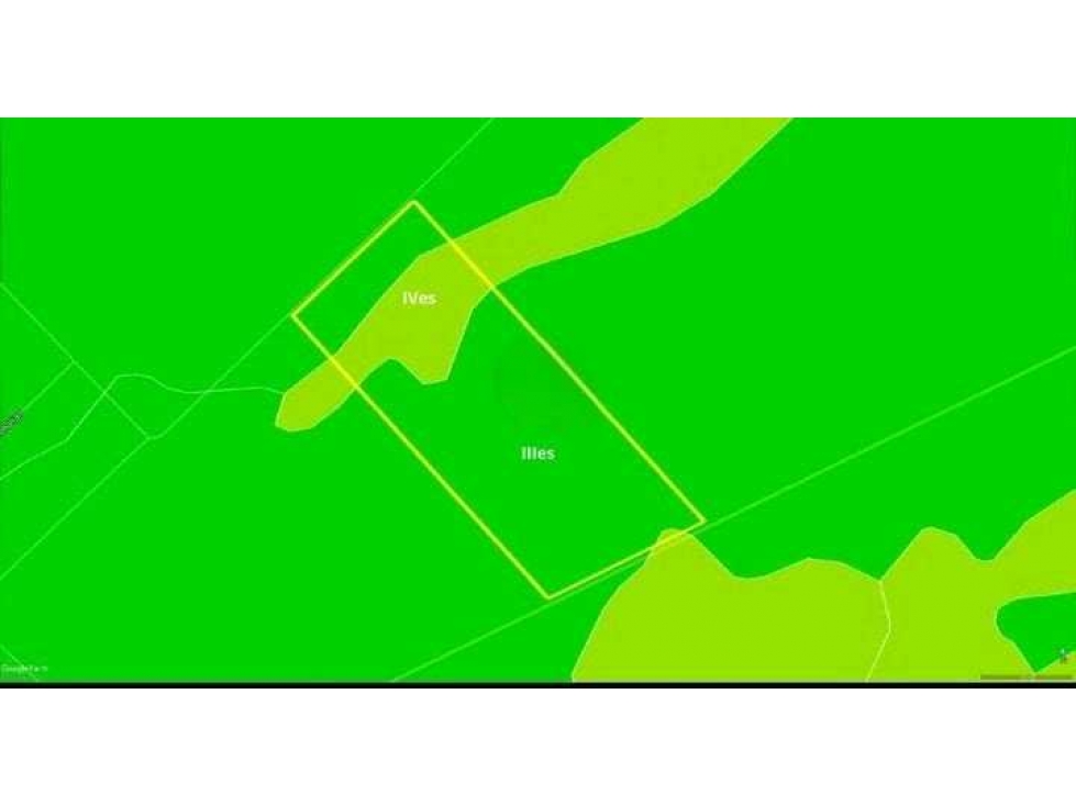 CAMPO 69 HECTAREAS, AGRICOLA, DAIREAUX, BUENOS AIRES, ARGENTINA - 3