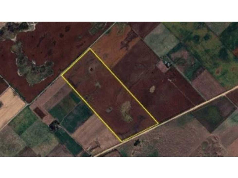 CAMPO 69 HECTAREAS, AGRICOLA, DAIREAUX, BUENOS AIRES, ARGENTINA - 4