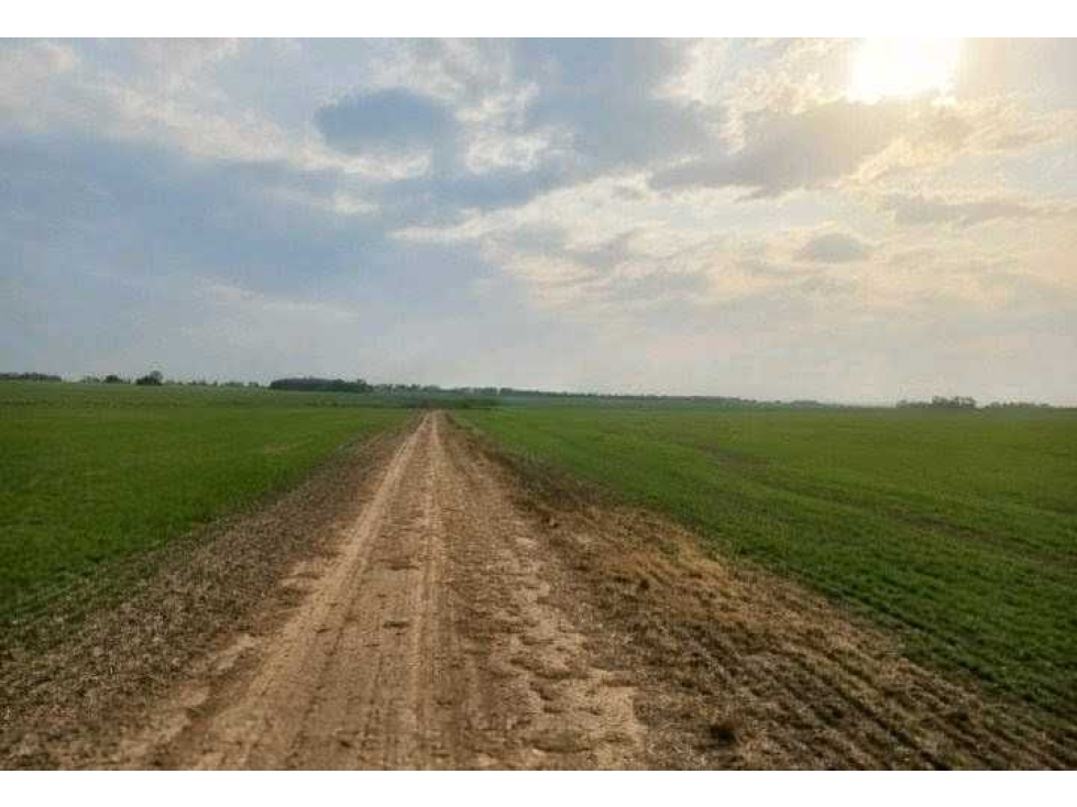 CAMPO 709 HECTAREAS, AGRICOLA, SAN JUSTO, SANTA FE, ARGENTINA - 4
