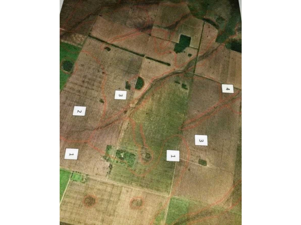 CAMPO 709 HECTAREAS, AGRICOLA, SAN JUSTO, SANTA FE, ARGENTINA - 5