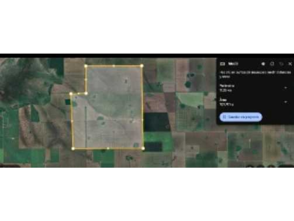 CAMPO 709 HECTAREAS, AGRICOLA, SAN JUSTO, SANTA FE, ARGENTINA - 6