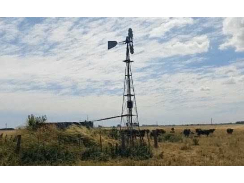 CAMPO 70 HECTAREAS, AGRICOLA, CAÑUELAS, BUENOS AIRES, ARGENTINA - 5