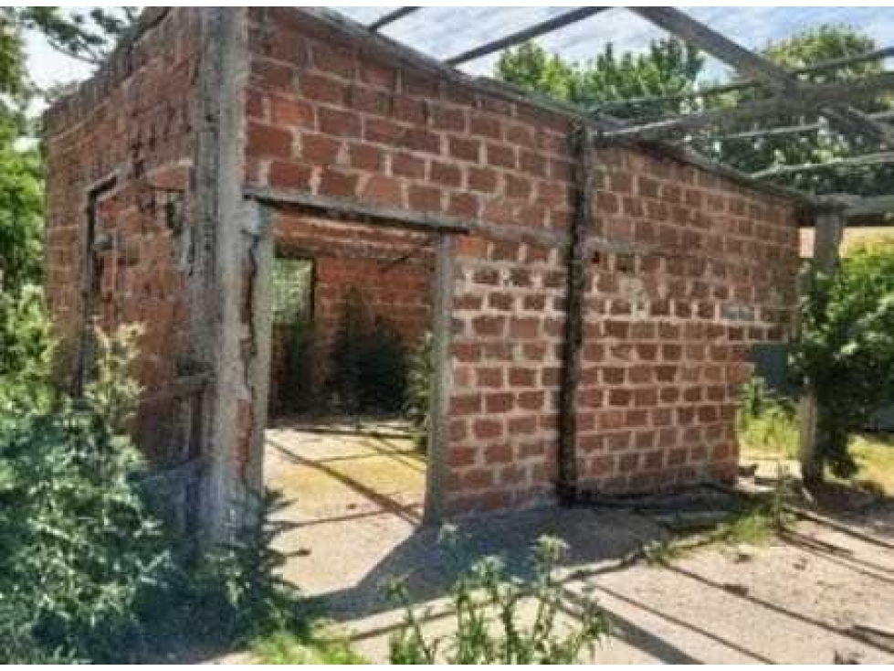 CAMPO 70 HECTAREAS, AGRICOLA, CAÑUELAS, BUENOS AIRES, ARGENTINA - 6