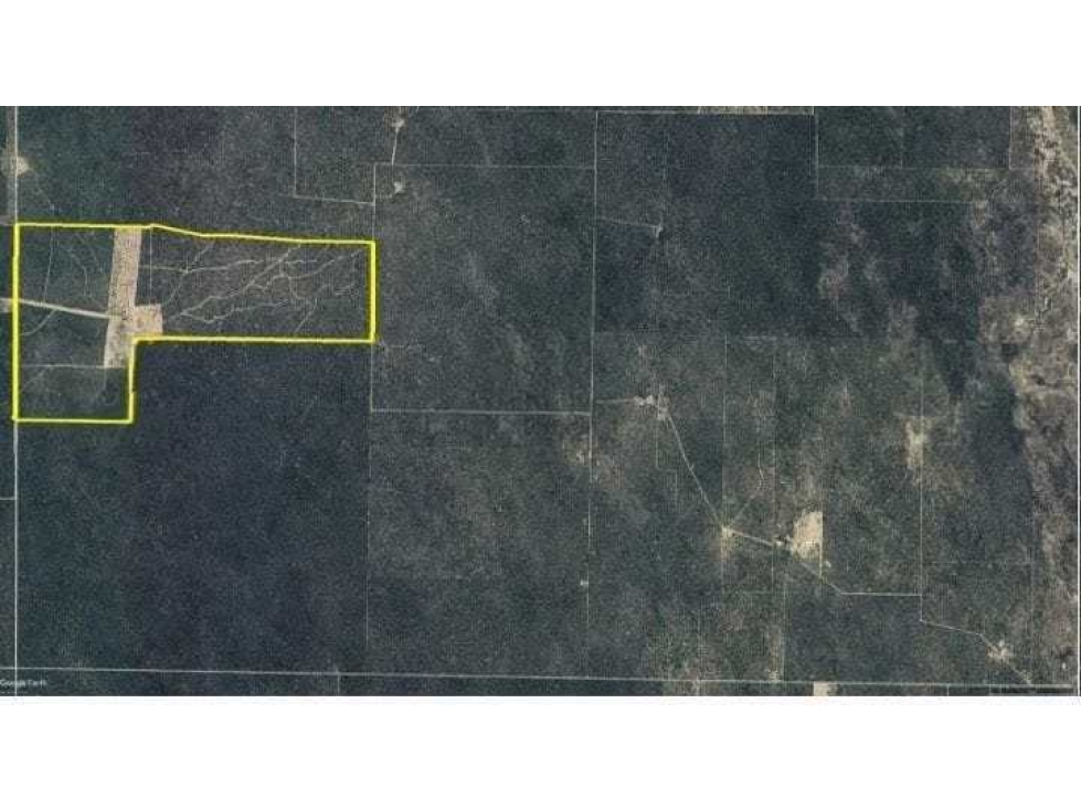 CAMPO 724 HECTAREAS, SAN VICENTE, CORDOBA,ARGENTINA - 2