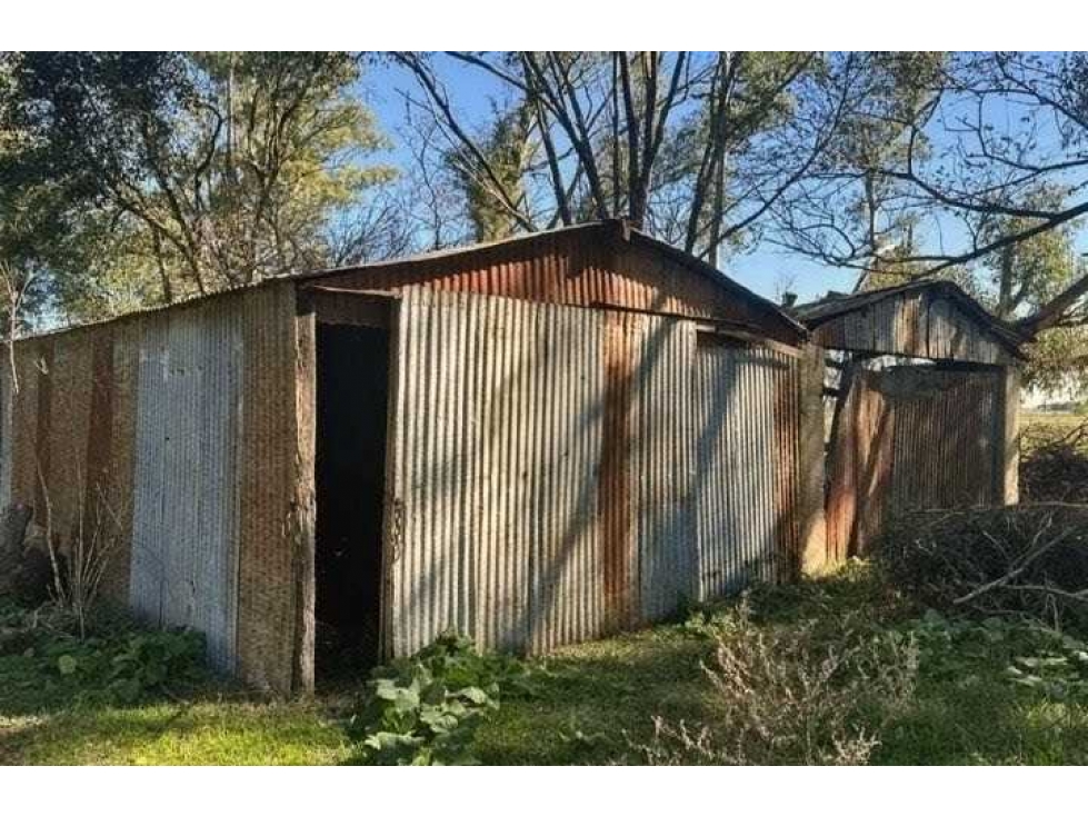 CAMPO 72 HECTAREAS, MIXTO, CHIVILCOY, BUENOS AIRES, ARGENTINA - 4