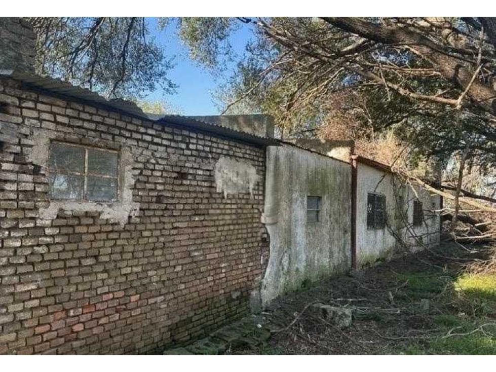 CAMPO 72 HECTAREAS, MIXTO, CHIVILCOY, BUENOS AIRES, ARGENTINA - 5