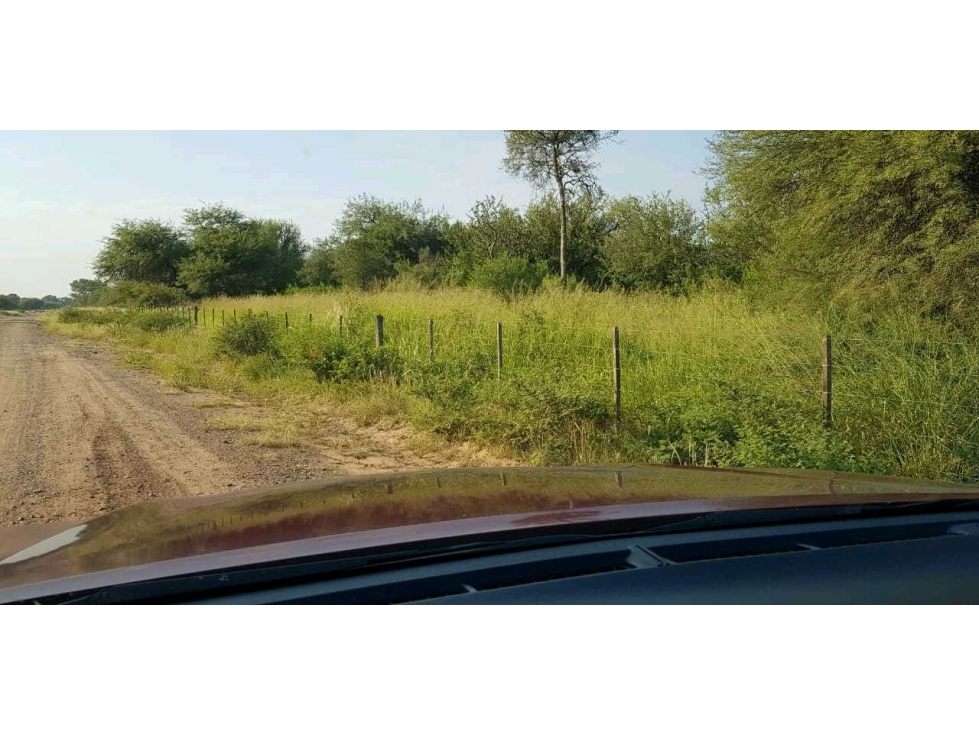 CAMPO 734 HECTAREAS, GANADERO, LORETO, SANTIAGO DEL ESTERO, ARGENTINA - 2