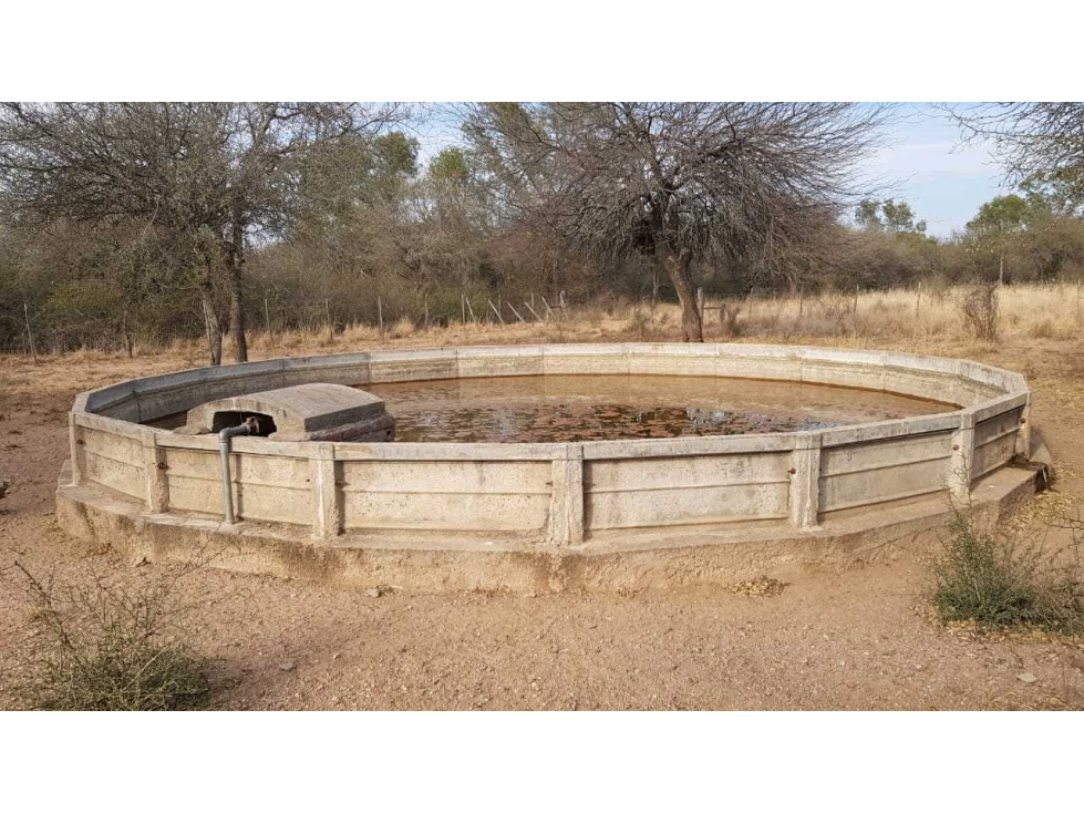 CAMPO 734 HECTAREAS, GANADERO, LORETO, SANTIAGO DEL ESTERO, ARGENTINA - 4