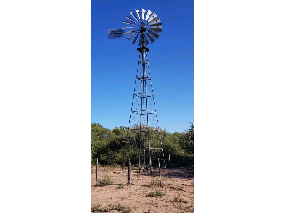 CAMPO 734 HECTAREAS, GANADERO, LORETO, SANTIAGO DEL ESTERO, ARGENTINA - 5
