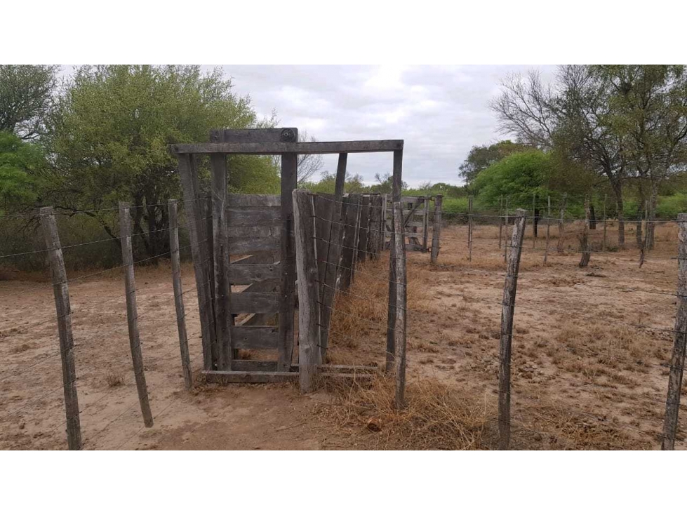 CAMPO 734 HECTAREAS, GANADERO, LORETO, SANTIAGO DEL ESTERO, ARGENTINA - 6