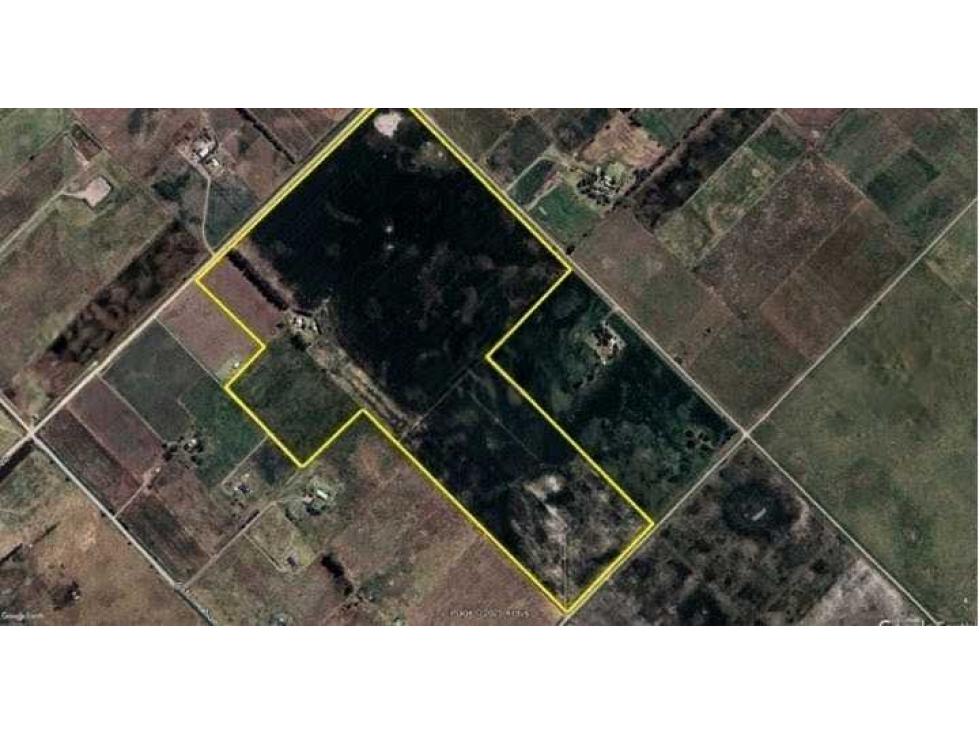 CAMPO 73 HECTAREAS, AGRICOLA, PEHUAJO, BUENOS AIRES, ARGENTINA - 3