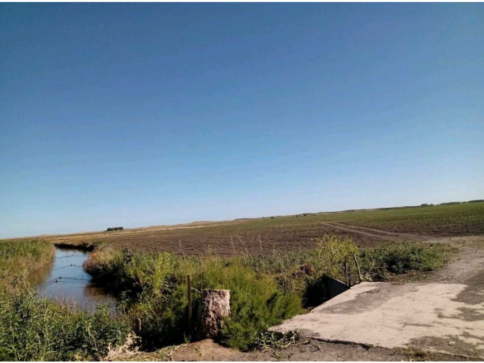 CAMPO 740 HECTAREAS, MIXTO, CORONEL DORREGO, BUENOS AIRES, ARGENTINA - 6