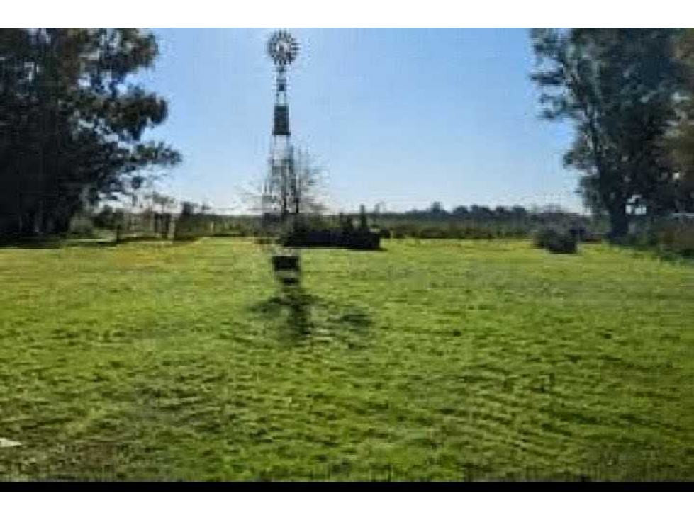 CAMPO 74,5 HECTAREAS, MIXTO, LOBOS, BUENOS AIRES, ARGENTINA - 1