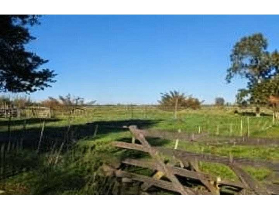 CAMPO 74,5 HECTAREAS, MIXTO, LOBOS, BUENOS AIRES, ARGENTINA - 2