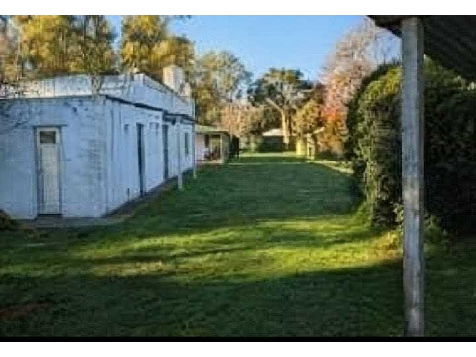 CAMPO 74,5 HECTAREAS, MIXTO, LOBOS, BUENOS AIRES, ARGENTINA - 6