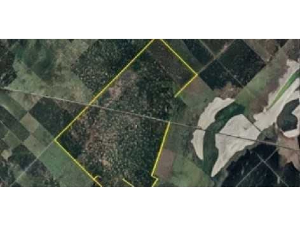 CAMPO 760 HECTAREAS,AGRICOLA, LINCOLN, BUENOS AIRES, ARGENTINA - 2