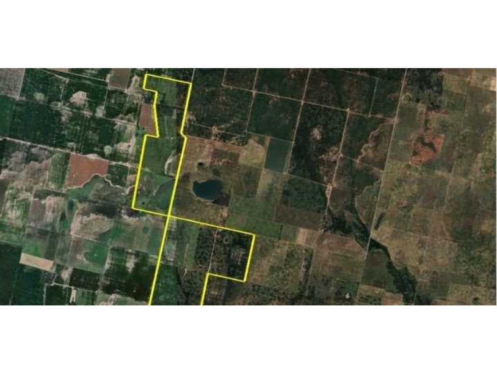 CAMPO 763 HAS, MIXTO, V.SABOYA, GRAL.VILLEGAS,BUENOS AIRES, ARGENTINA - 5