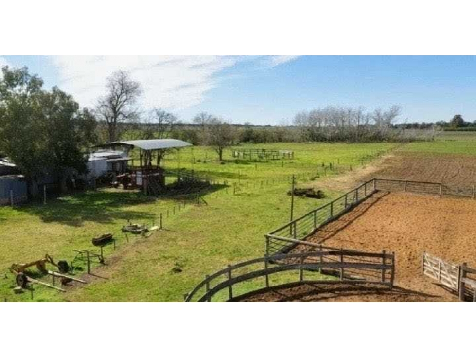 CAMPO 77 HASS, AGRICOLA, SAN MIGUEL DEL MONTE, BUENOS AIRES, ARGENTINA - 6