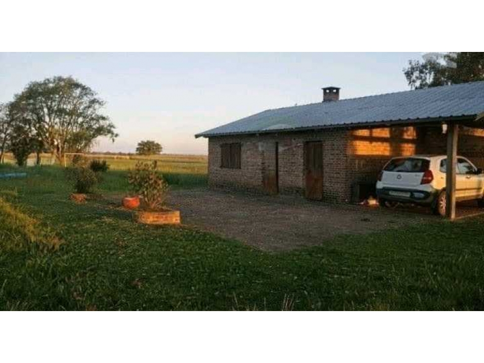 CAMPO 785 HECTAREAS, MIXTO, CARLOS CASARES, BUENOS AIRES, ARGENTINA - 6