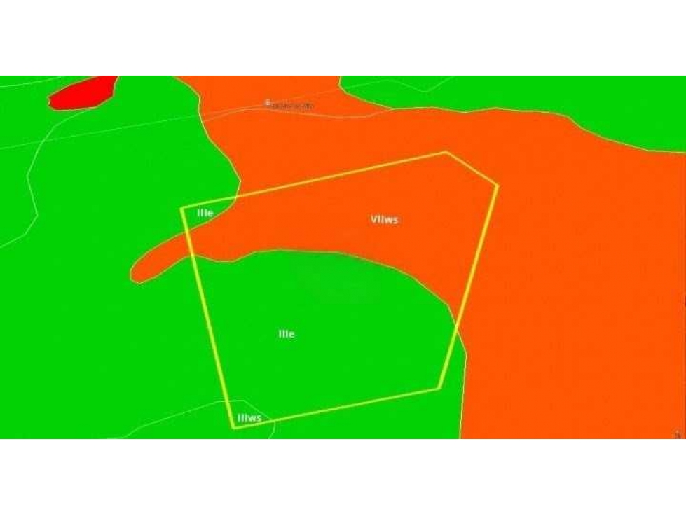 CAMPO 79 HAS, MIXTO, SAN MIGUEL DEL MONTE, BUENOS AIRES, ARGENTINA - 3