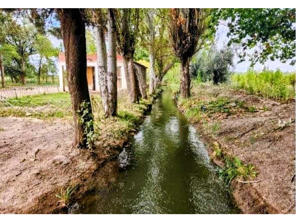 CAMPO 80 HAS, AGRICOLA, SAN MARTIN, MENDOZA, ARGENTINA - 3