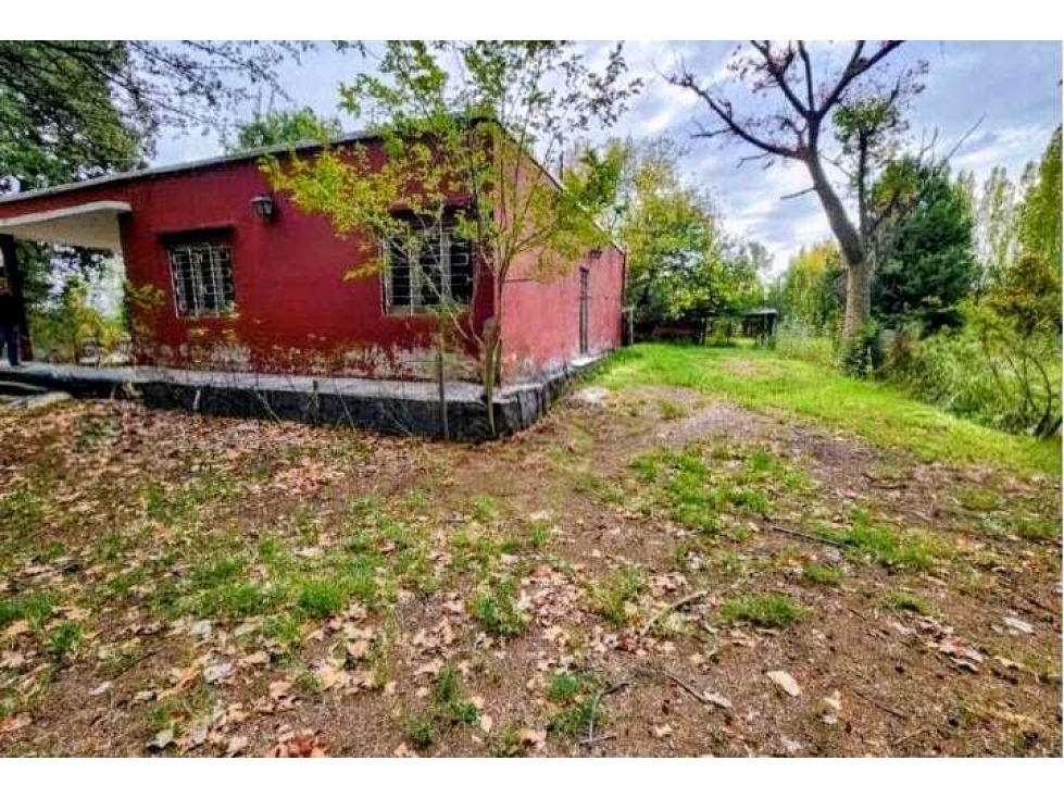 CAMPO 80 HAS, AGRICOLA, SAN MARTIN, MENDOZA, ARGENTINA - 5