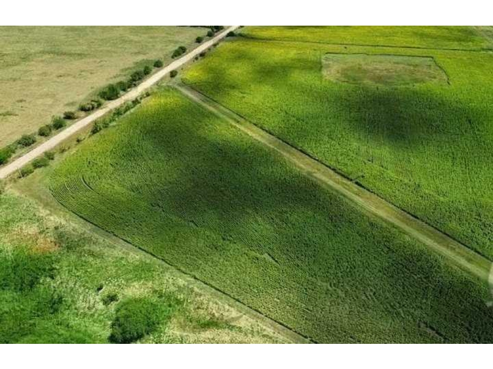 CAMPO 80 HECTAREAS, MIXTO, BALCARCE, BUENOS AIRES, ARGENTINA - 6