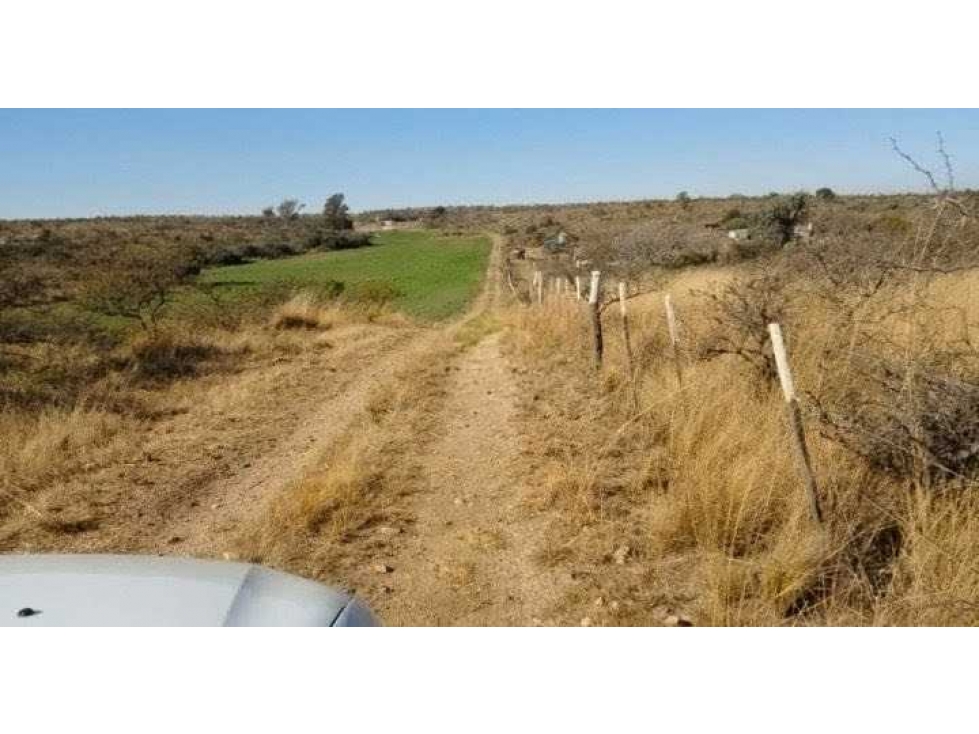 CAMPO 80 HECTAREAS, MIXTO, ELENA, CORDOBA, ARGENTINA - 2