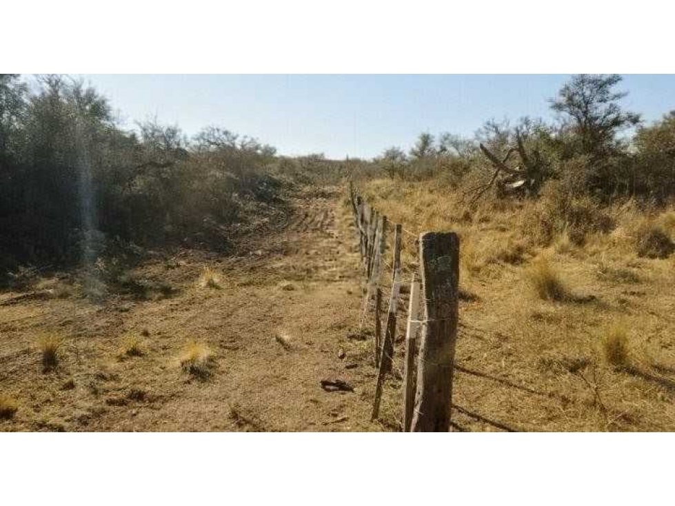 CAMPO 80 HECTAREAS, MIXTO, ELENA, CORDOBA, ARGENTINA - 3