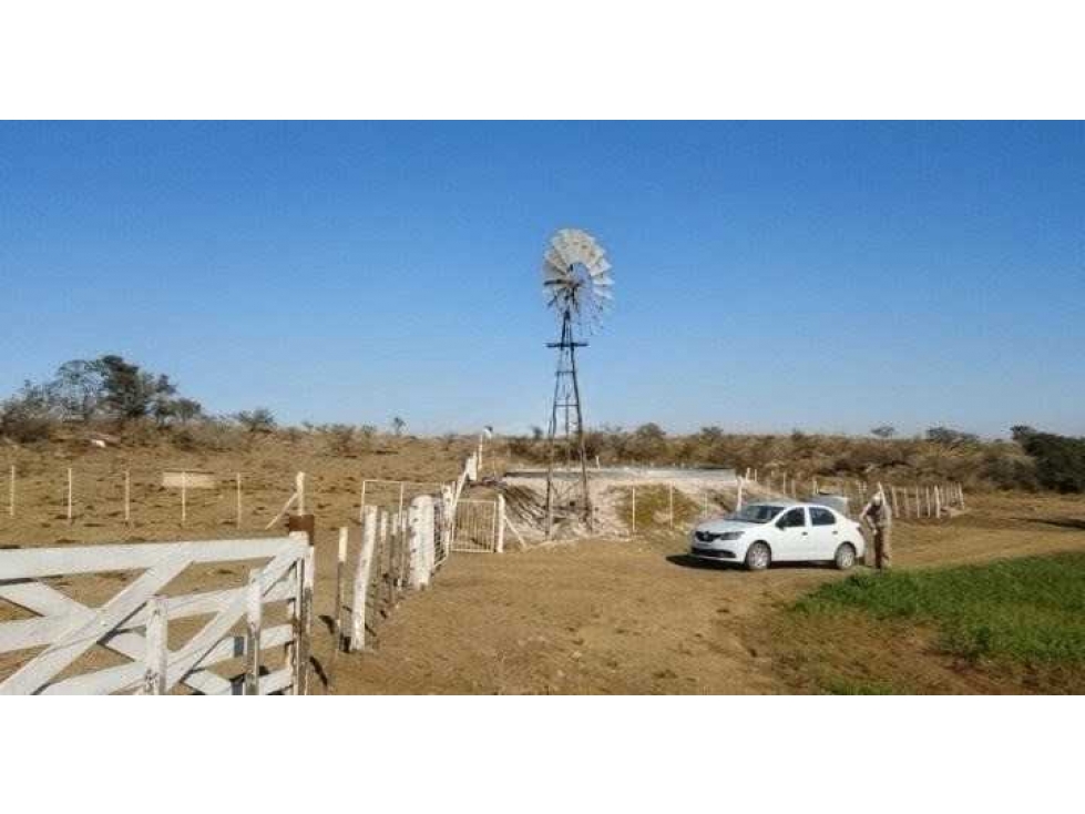 CAMPO 80 HECTAREAS, MIXTO, ELENA, CORDOBA, ARGENTINA - 4