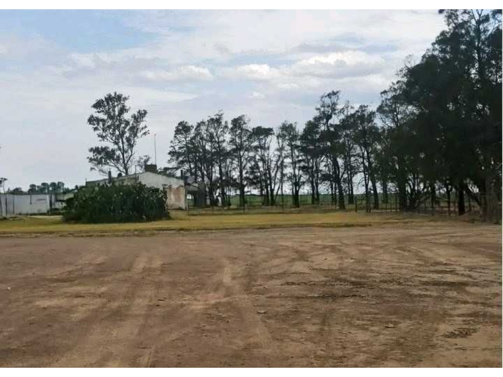 CAMPO 810 HAS, AGRÍCOLA,FORTÍN INCA, SANTIAGO DEL ESTERO, ARGENTINA - 1