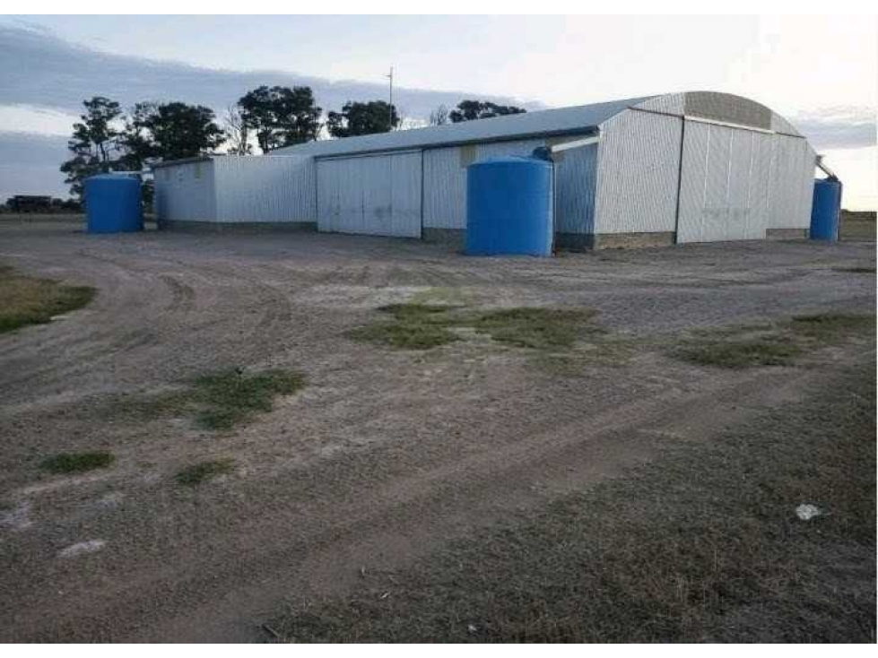 CAMPO 810 HAS, AGRÍCOLA,FORTÍN INCA, SANTIAGO DEL ESTERO, ARGENTINA - 5