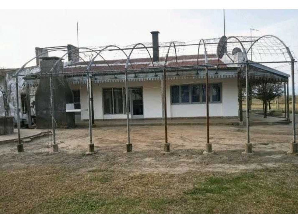 CAMPO 810 HAS, AGRÍCOLA,FORTÍN INCA, SANTIAGO DEL ESTERO, ARGENTINA - 6