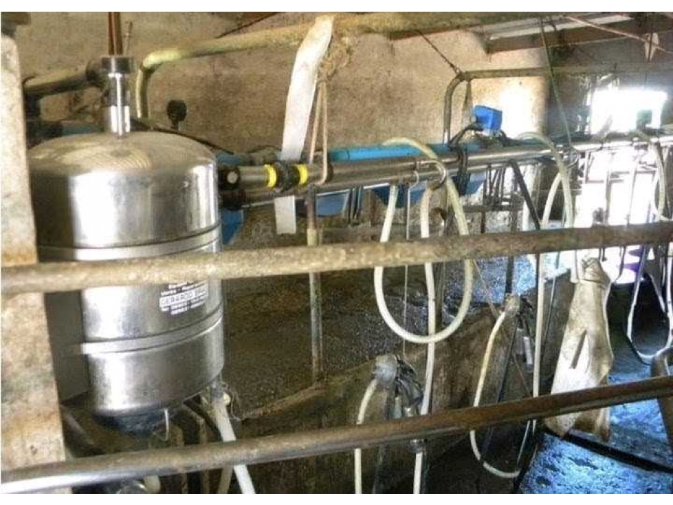CAMPO 81 HECTAREAS, GANADERO, GUAMINI, BUENOS AIRES, ARGENTINA - 3