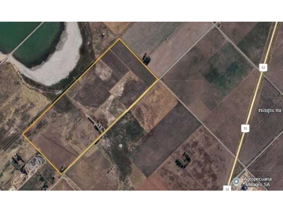 CAMPO 81 HECTAREAS, GANADERO, GUAMINI, BUENOS AIRES, ARGENTINA - 5