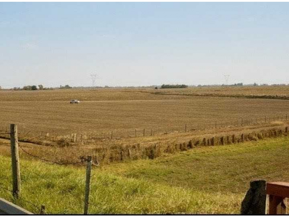 CAMPO 830 HECTAREAS, AGRICOLA, BARRANCAS, SANTA FE, ARGENTINA - 2