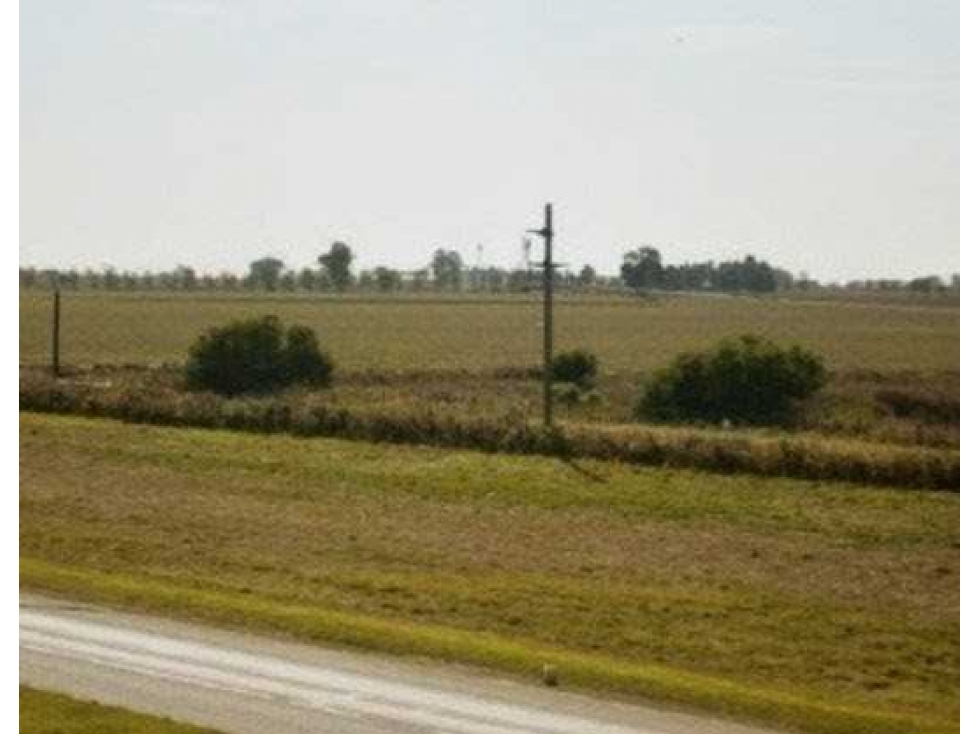 CAMPO 830 HECTAREAS, AGRICOLA, BARRANCAS, SANTA FE, ARGENTINA - 3